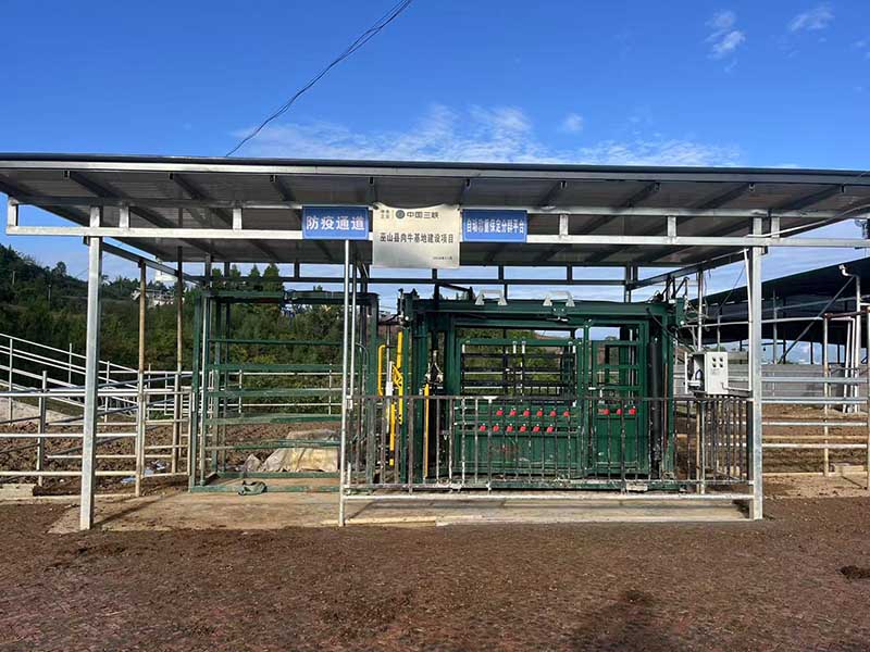 Hydraulic Chutes For Cattle Hydraulic Chutes For Cattle