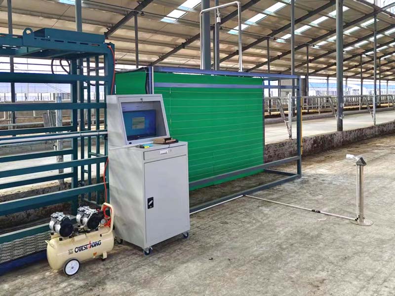 Automating Livestock Measurement