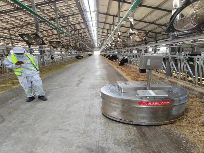 Feeding Pusher Robots