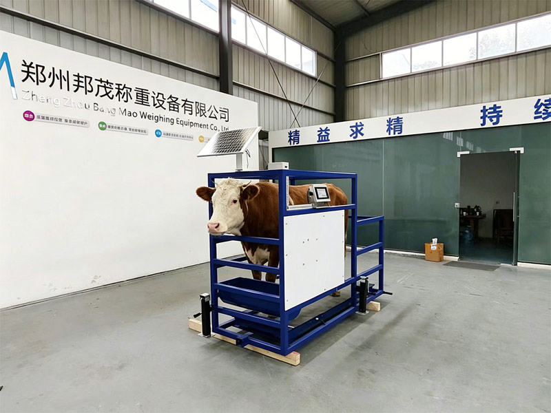 Livestock Handling Equipment