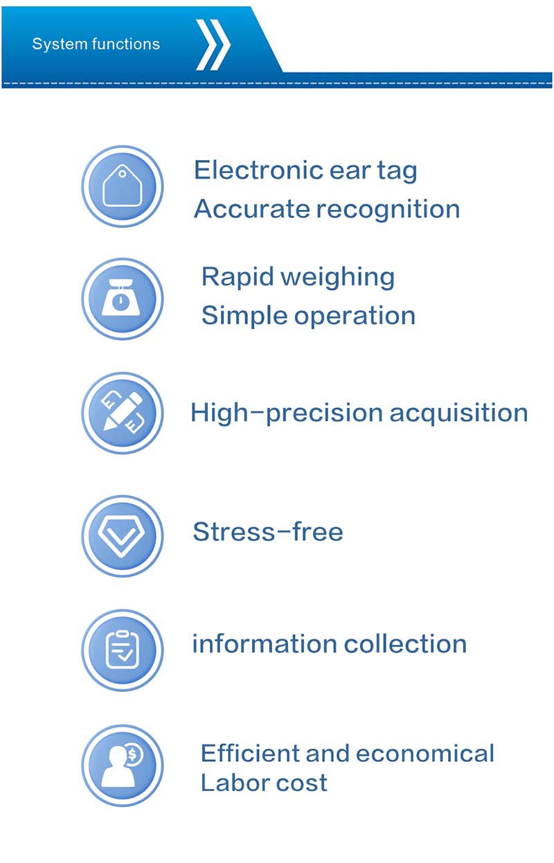 Solar energy  Cattle Weighing System Solar energy  Cattle Weighing System