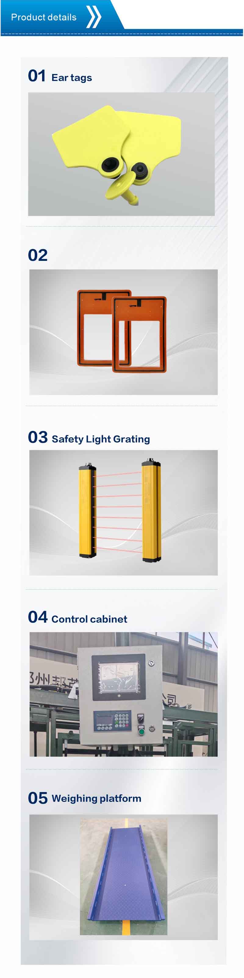 Calves weighing and body size measurement system Calves weighing and body size measurement system