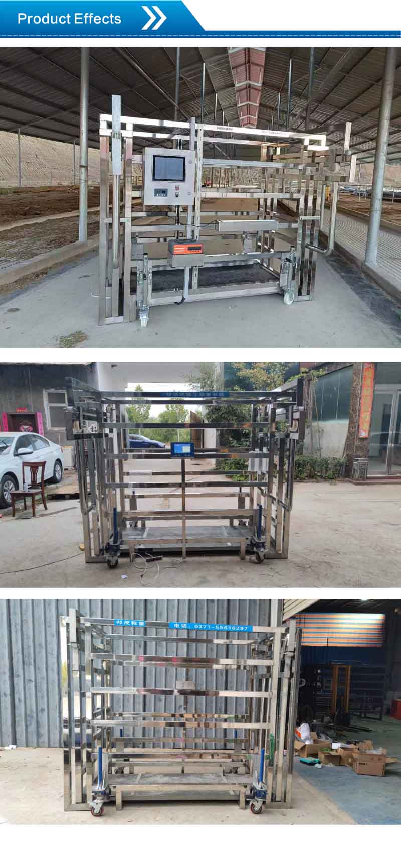 Calves weighing and body size measurement system Calves weighing and body size measurement system
